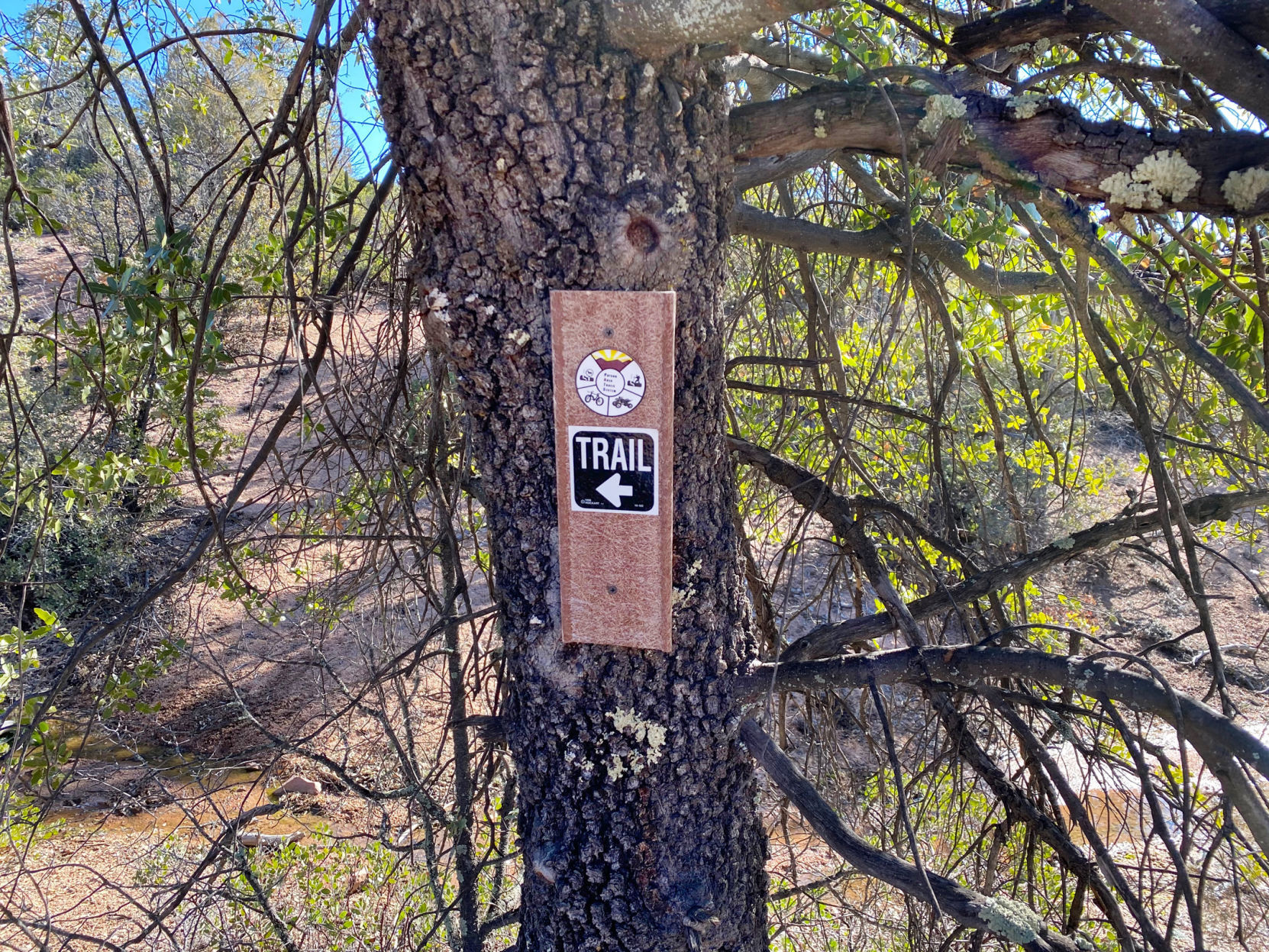 Tree sign Monument Peak Trail